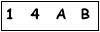 salt-432A2458