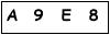 salt-1E3CCD41
