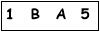 salt-B64BD77A