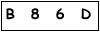 salt-204B2481
