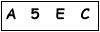 salt-63EA5BA5