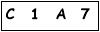 salt-646EAE48