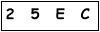 salt-041C9E3F
