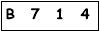 salt-6B2A6039