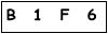 salt-656F836A