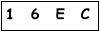 salt-269CF45B