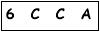 salt-C55306B5