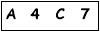 salt-7874DCD9