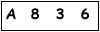 salt-1C1DEB4E
